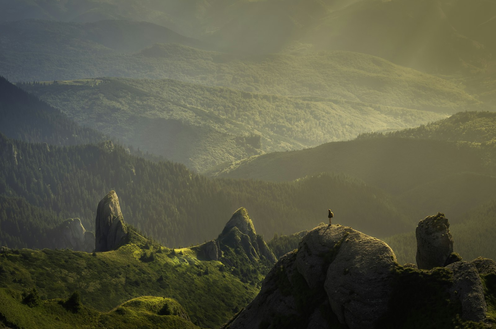 Mountain valley in morning light
