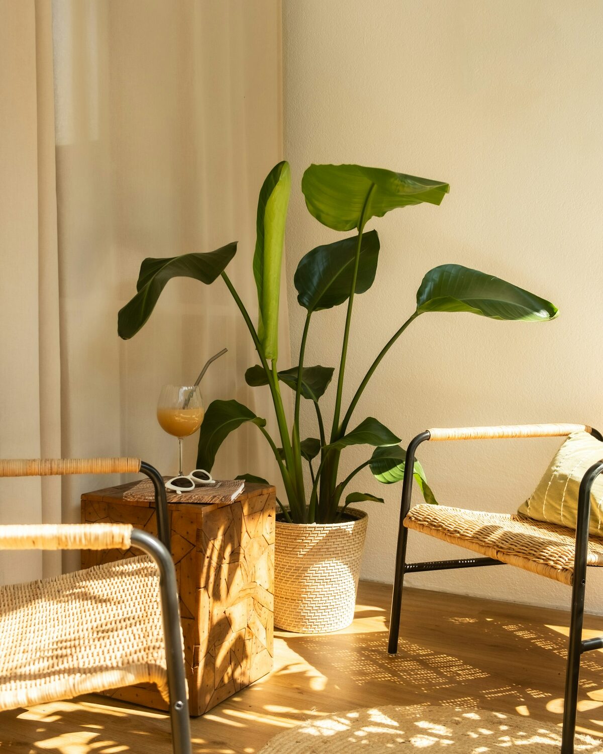 Sunlit corner with two wicker chairs and a houseplant